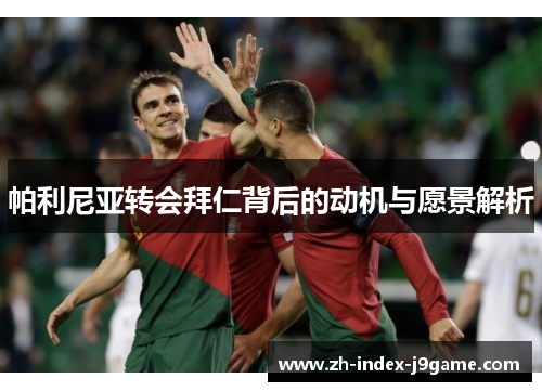 帕利尼亚转会拜仁背后的动机与愿景解析