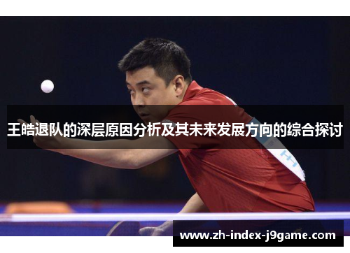 王皓退队的深层原因分析及其未来发展方向的综合探讨